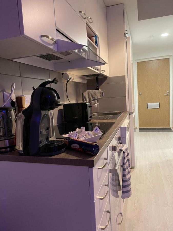 Arctic Penthouse Studio With Free Parking And High-Speed Wi-Fi Rovaniemi Exterior foto